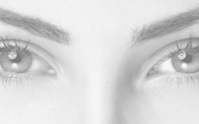 Welcome to Our Blog!